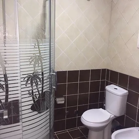 Отель Bujtina Bicolli Корча